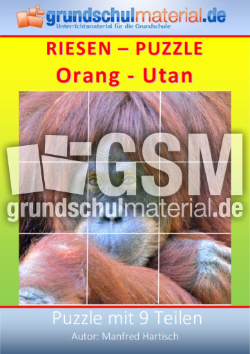 Riesenpuzzle_Orang-Utan.pdf